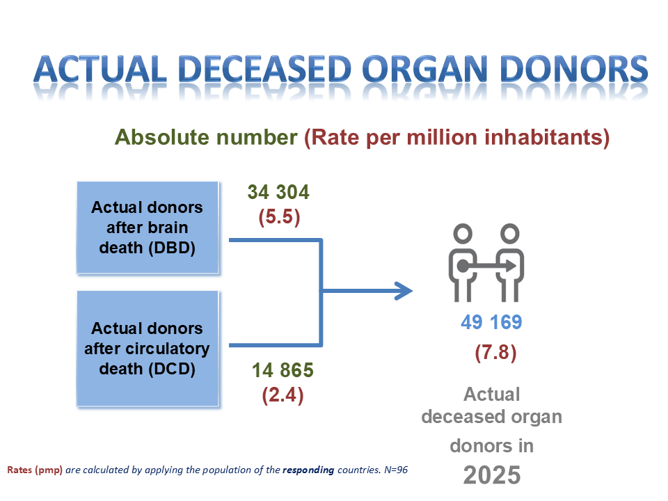Actual deceased organ donors